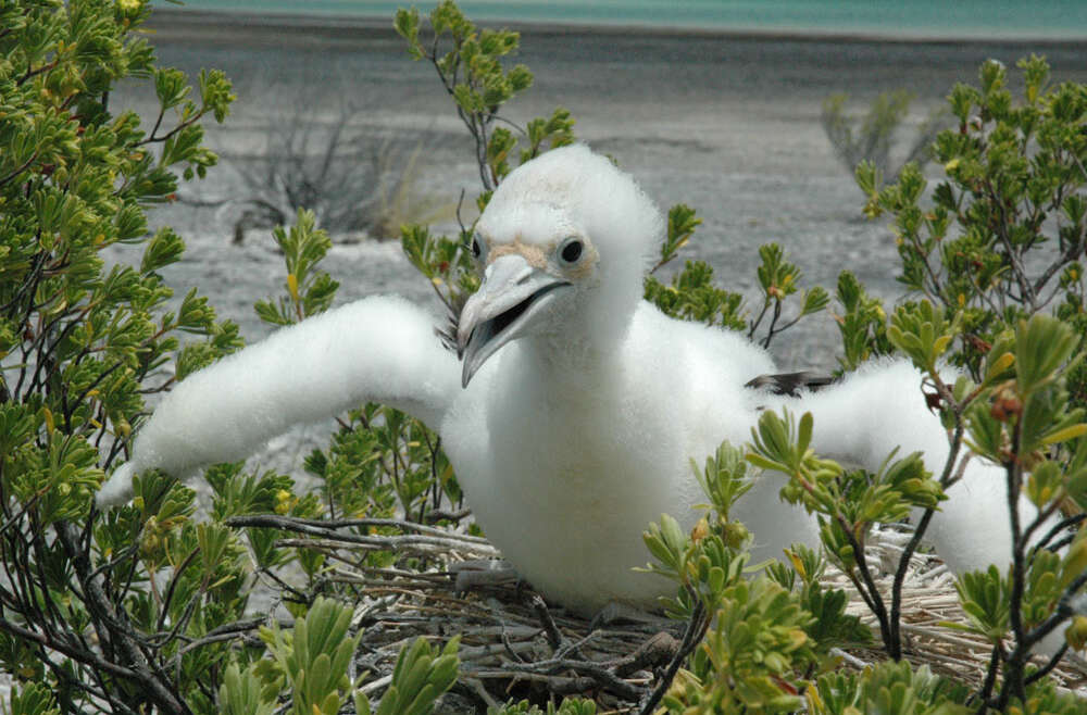 Experiences in Kiribati