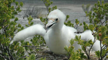 Experiences in Kiribati