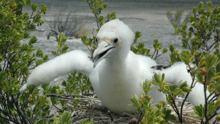 Experiences in Kiribati