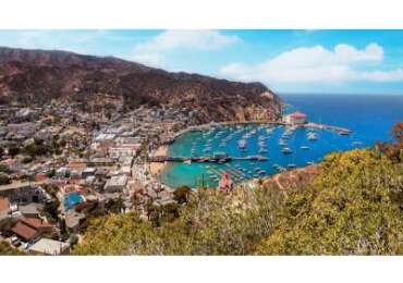 Amazing Catalina