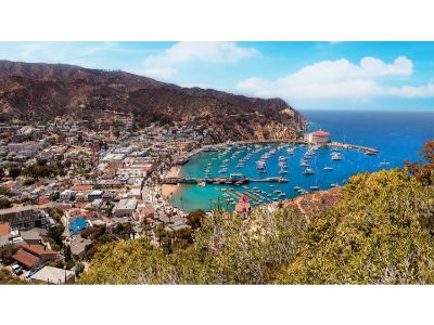 Amazing Catalina