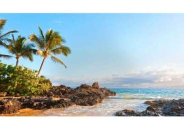 Scenic Maui Tropical and Iao Valley with Maui Ocean Center