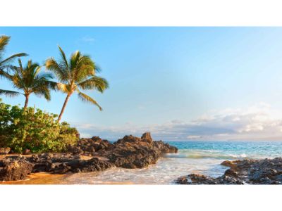 Scenic Maui Tropical and Iao Valley with Maui Ocean Center