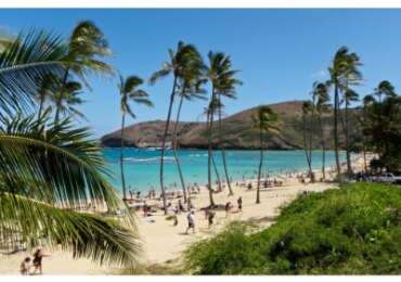 Exclusive Oahu Island Tour