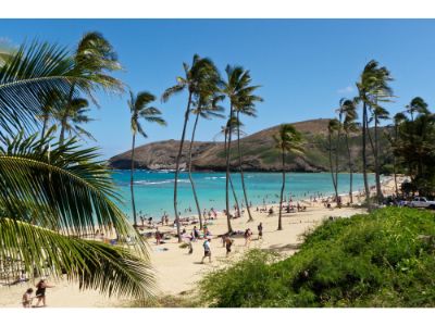 Exclusive Oahu Island Tour