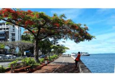 Suva Jungle and Waterfall Trek