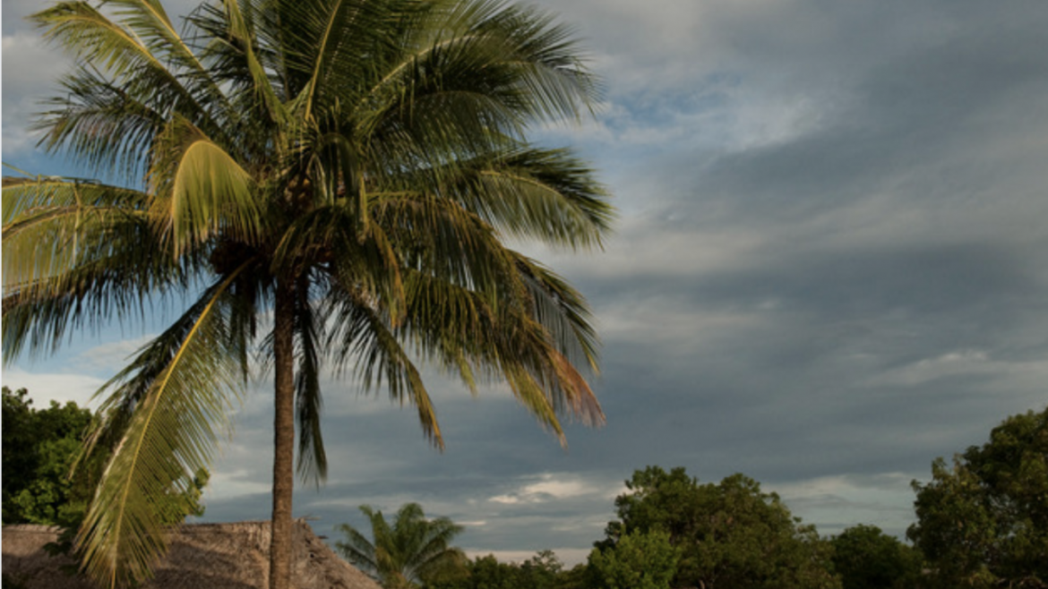 Beaches in Guyana