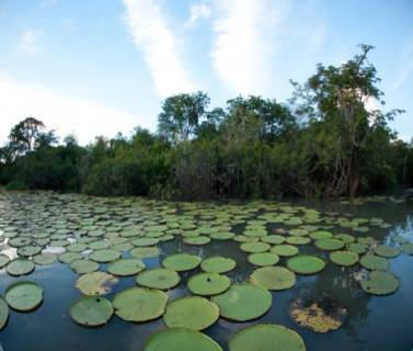 Experiences in Guyana