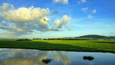 Experiences in French Guiana