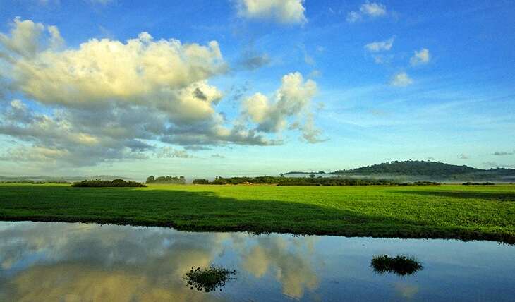 Experiences in French Guiana