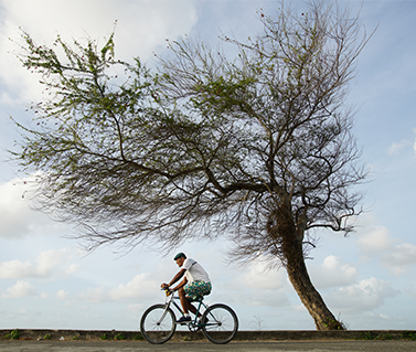 Cities & Towns in Guyana