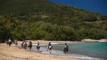 Experiences in Guadeloupe