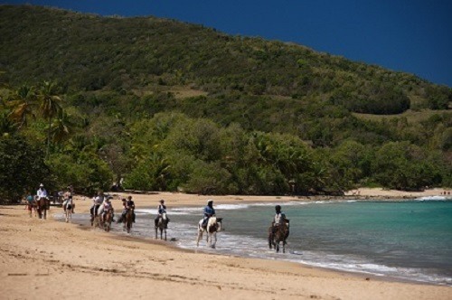 Experiences in Guadeloupe
