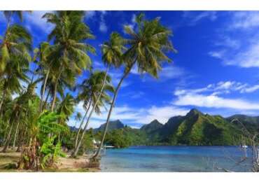 Moorea Jet Ski Adventure