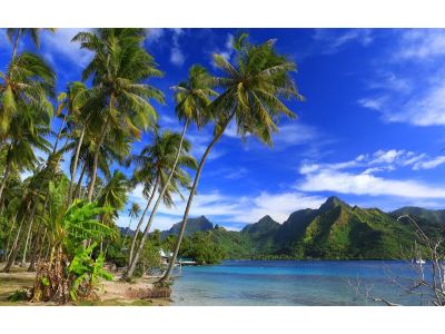 Moorea Jet Ski Adventure