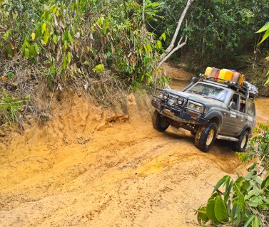 Mountains & Rainforests of Guyana