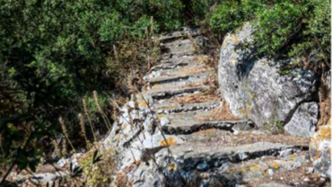 The Nature Reserve Pass of Gibraltar