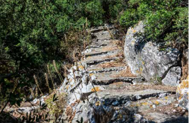 The Nature Reserve Pass of Gibraltar