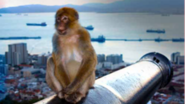 Natural Attractions of Gibraltar