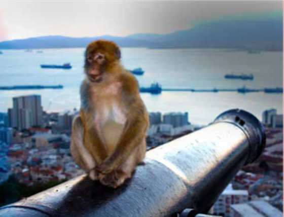 Natural Attractions of Gibraltar