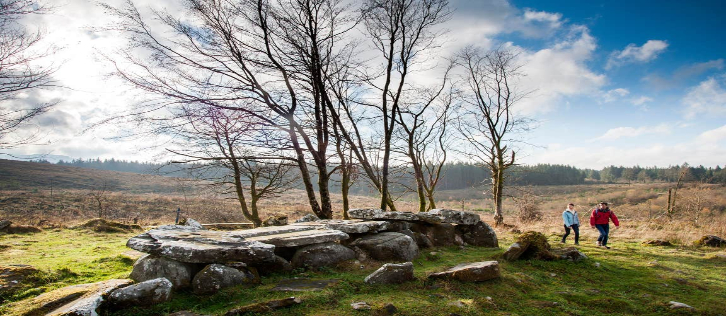 Nature & Wildlife in Ireland