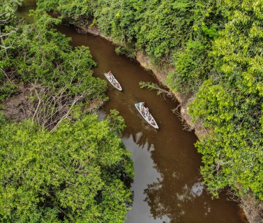Rivers & Creeks in Guyana