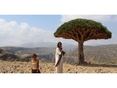 Socotra