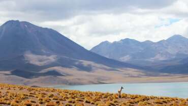 Nature Tourism in Chile