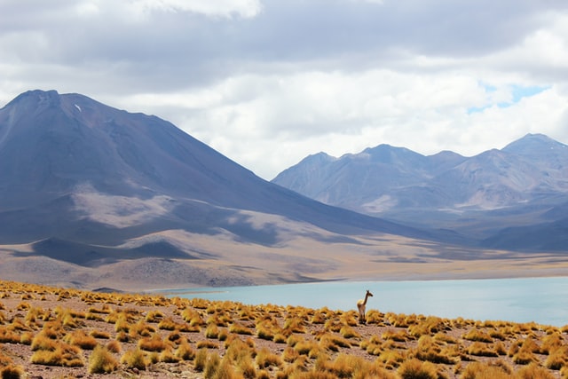 Nature Tourism in Chile