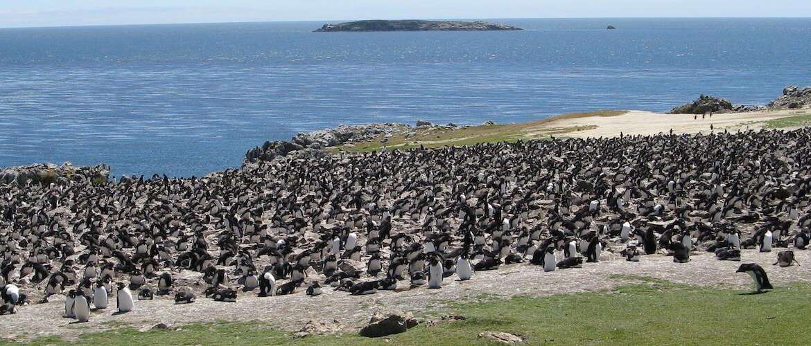 East Falkland