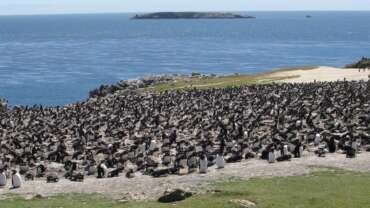 East Falkland