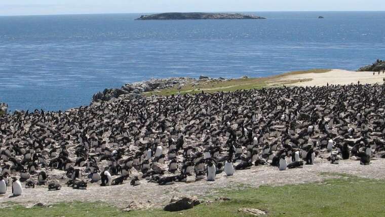 East Falkland