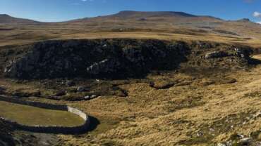 Attractions in Falkland Islands