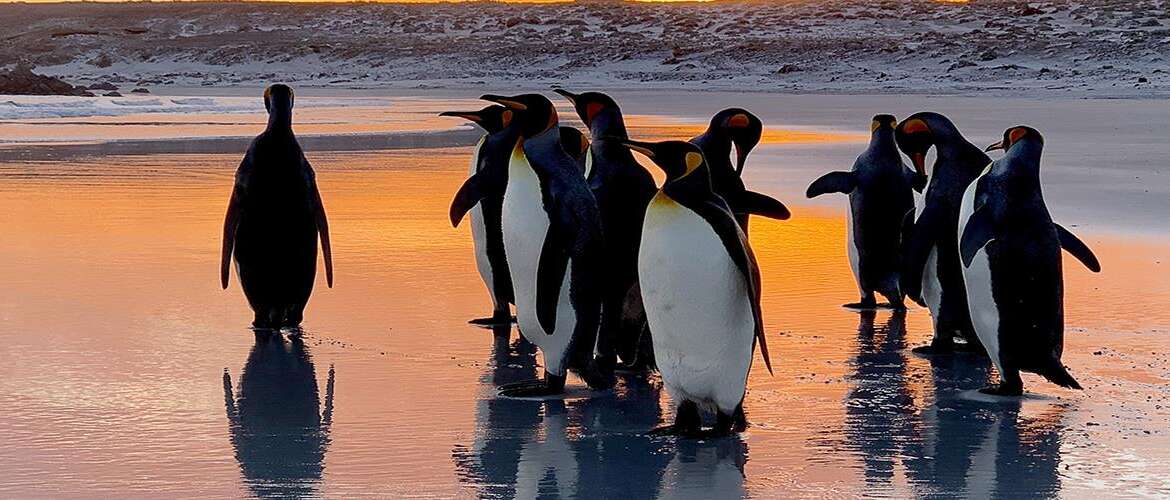 Falkland Islands