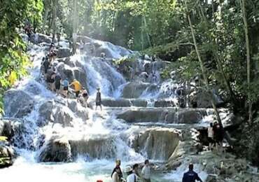 Day Trip Combo of Mini Waterfall, Enchanted Gardens & Bird Aviary