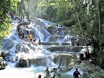 Day Trip Combo of Mini Waterfall, Enchanted Gardens & Bird Aviary