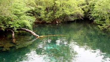 Nature in Dominican Republic