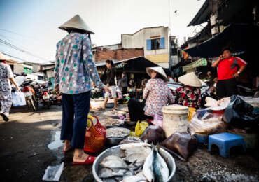 Vietnam States & Cities