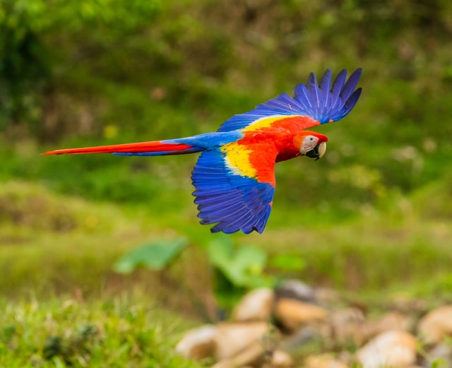 National Parks in Costa Rica