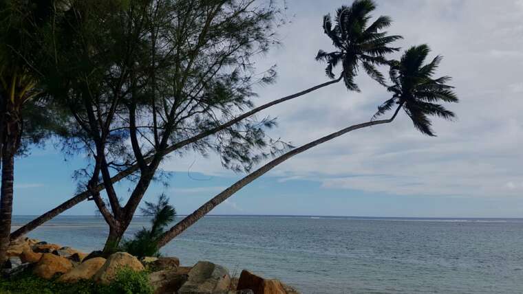 Touring Cook Island Wonder