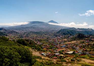 Venezuela Safari Journey