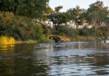 Zambia Safari Tour