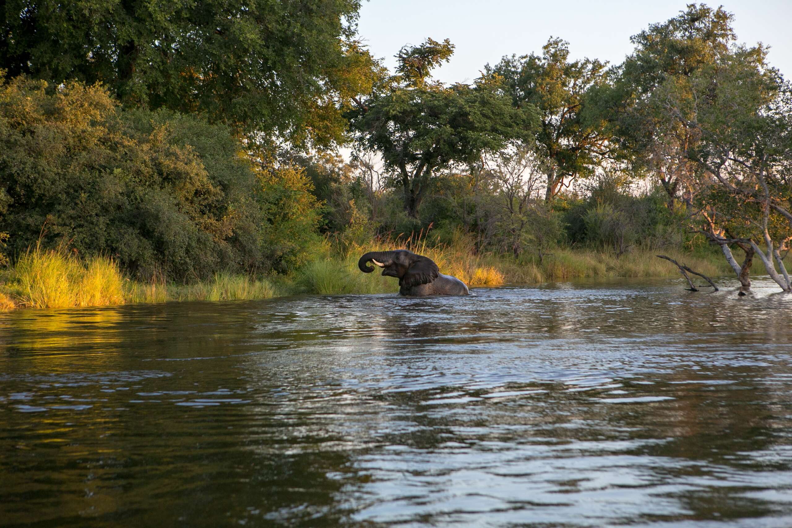 zambia luxury safari tours