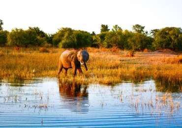 Zimbabwe Safari Tour with Victoria Fall