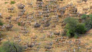 Kgalagadi Transfrontier Park