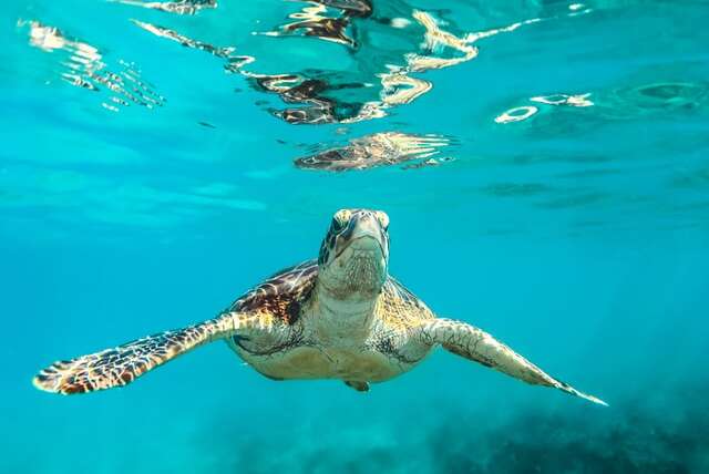 Water Sports in Barbados