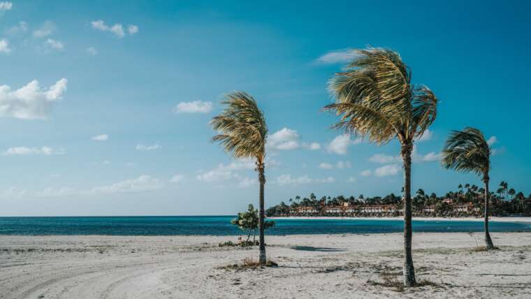 Aruba Beach Tour