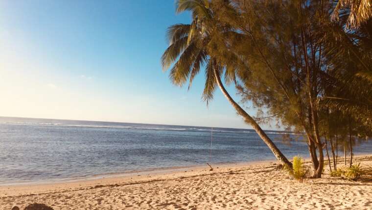 Discover Cook Island