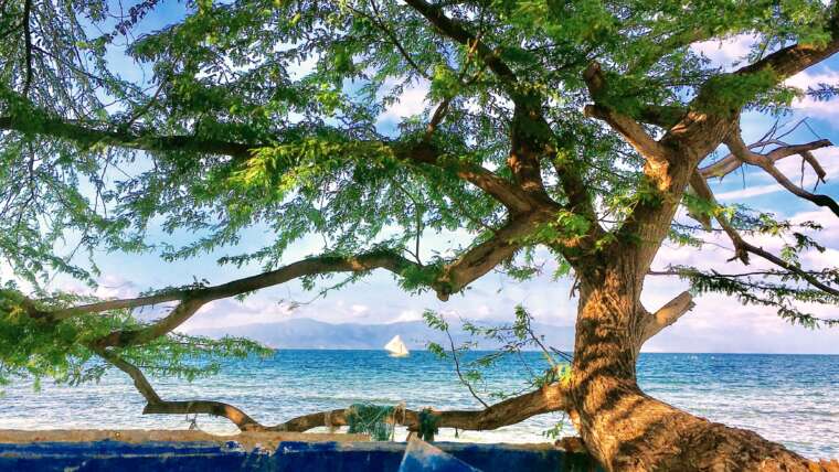 Explore Haiti Island