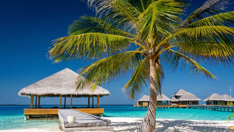 Best of Maldives